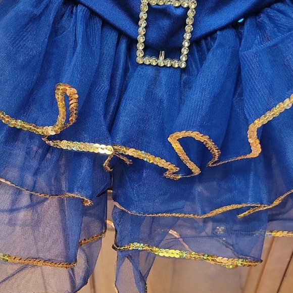 Weissman Size SC (6/6X) Navy & Gold Showtime Sequin Tutu Dance Costume #13838 - Picture 6 of 14